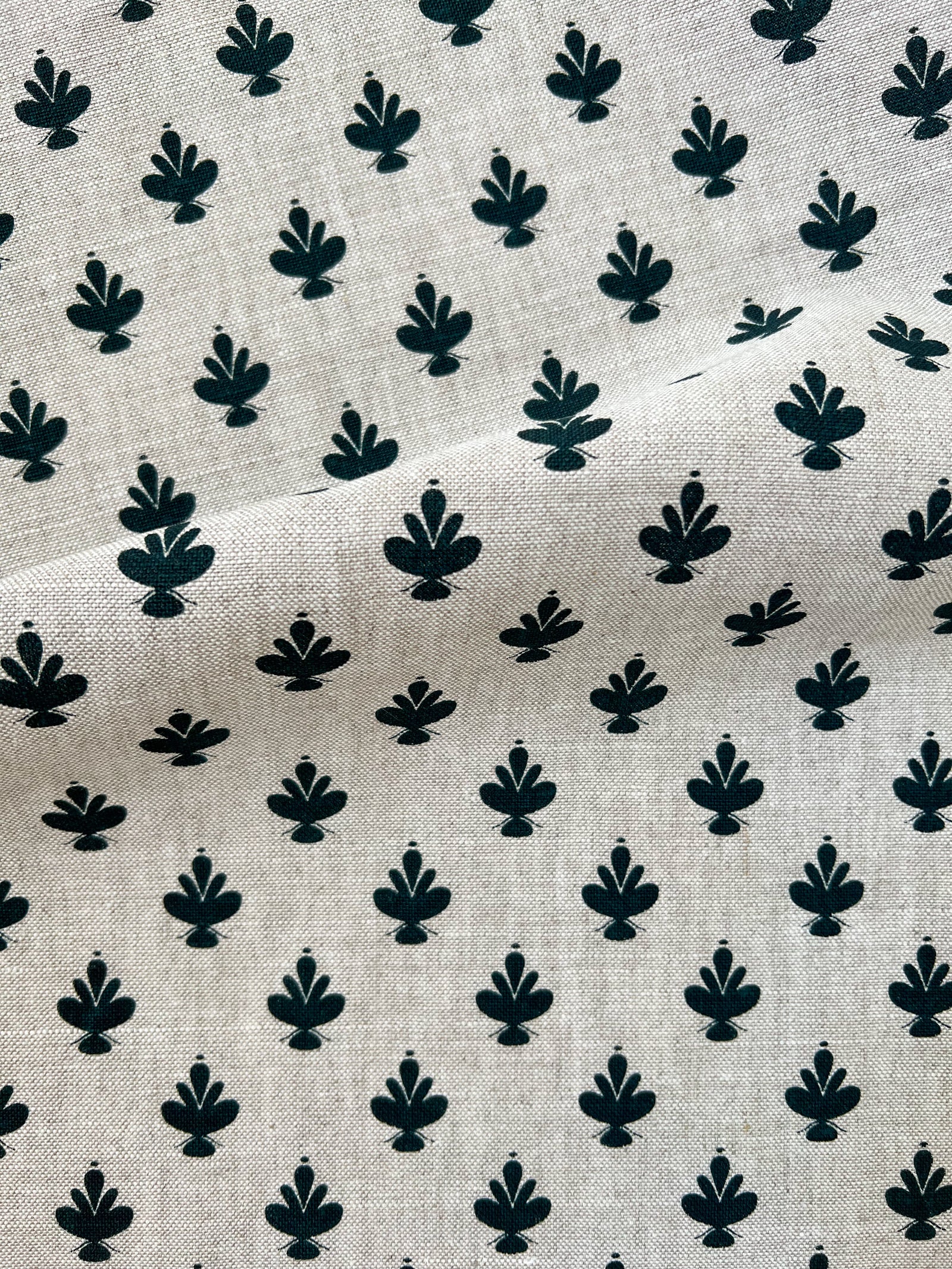 Adeline — Dublin on Oatmeal