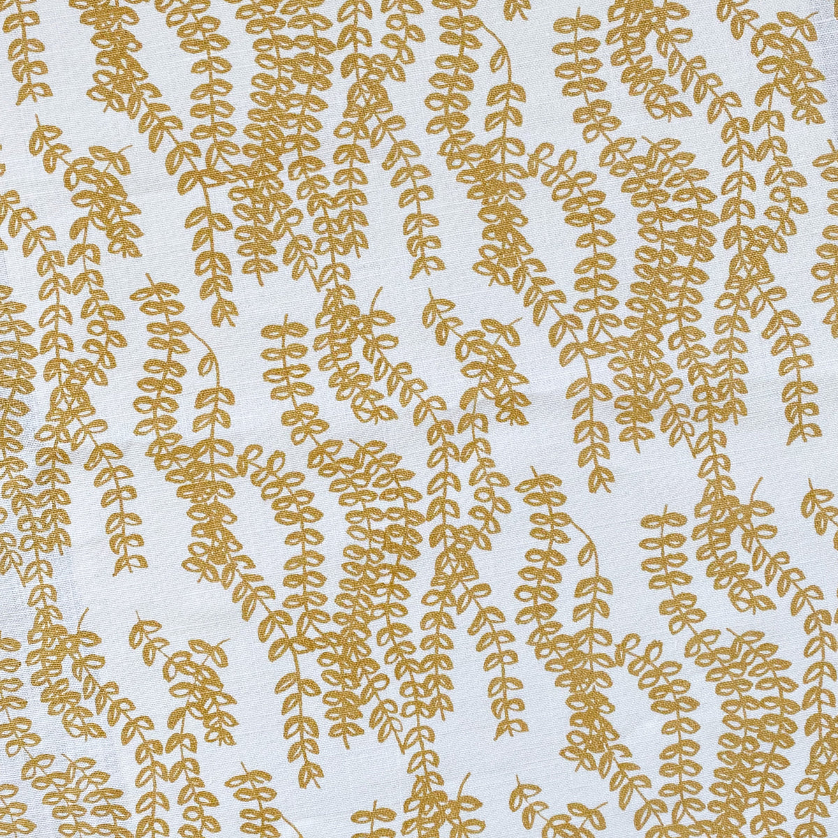 Antoinette — Wheat on Oyster